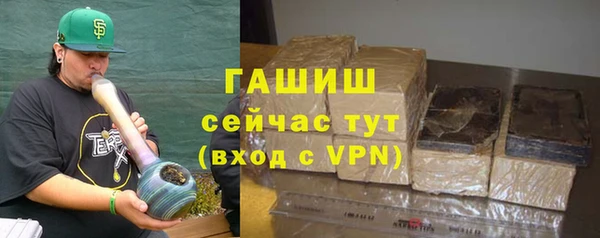 гидра Арсеньев