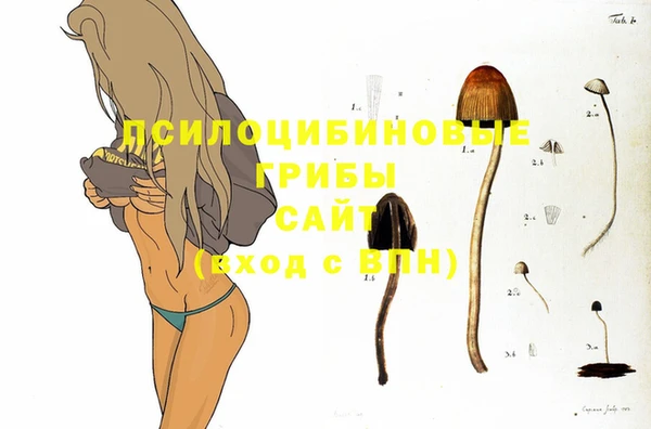 МДПВ Аркадак