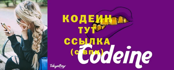 соль ск Сосновка