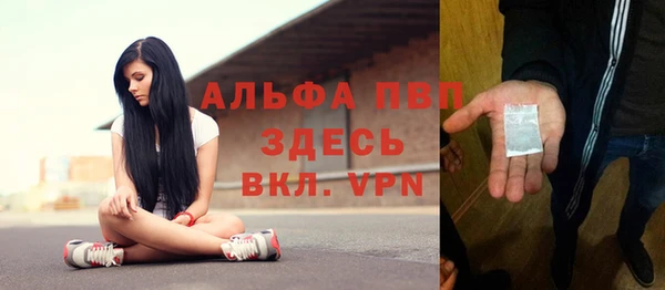 гидра Арсеньев