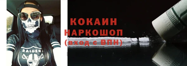 гидра Арсеньев