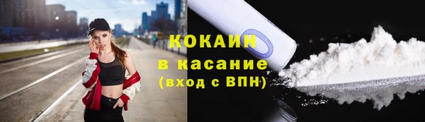 гидра Арсеньев