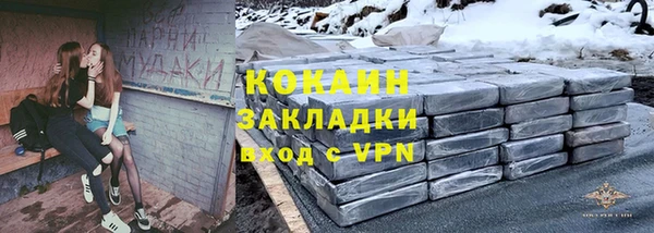 гидра Арсеньев