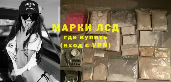 гидра Арсеньев