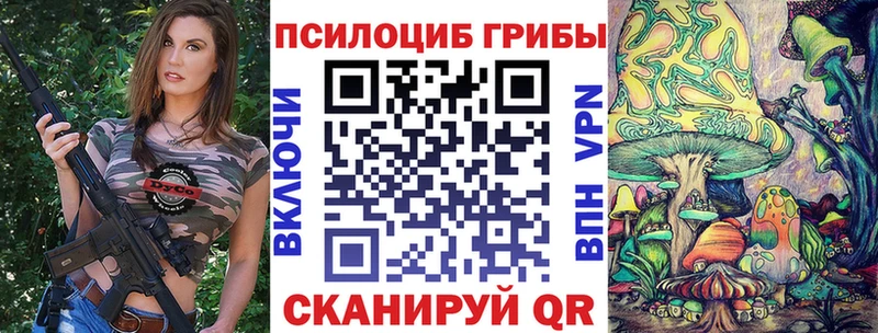 Псилоцибиновые грибы Cubensis закладка Инза